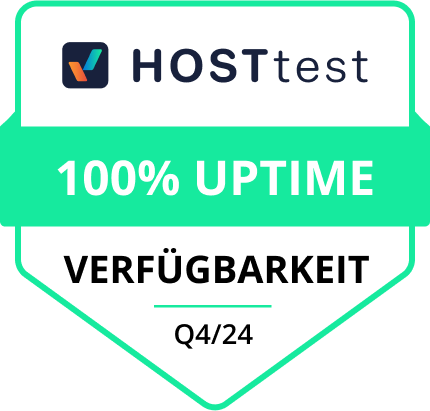 HOSTtest: 100% Uptime in Q4 2024