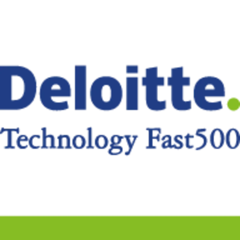 doloitte_en-alt