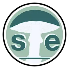 stereum_logo_extern
